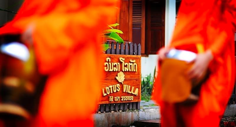 Lotus Villa  Hotel