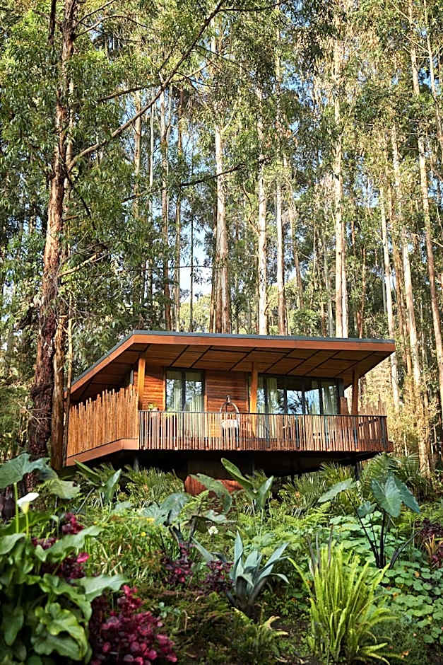 One&Only Gorilla's Nest