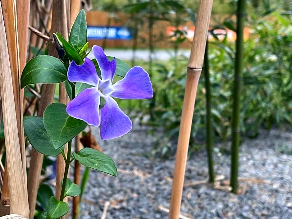 Strandhotel Weißer Berg