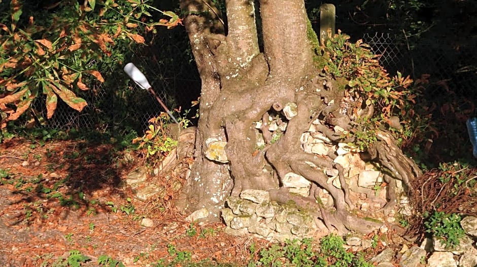 Campagne Océan