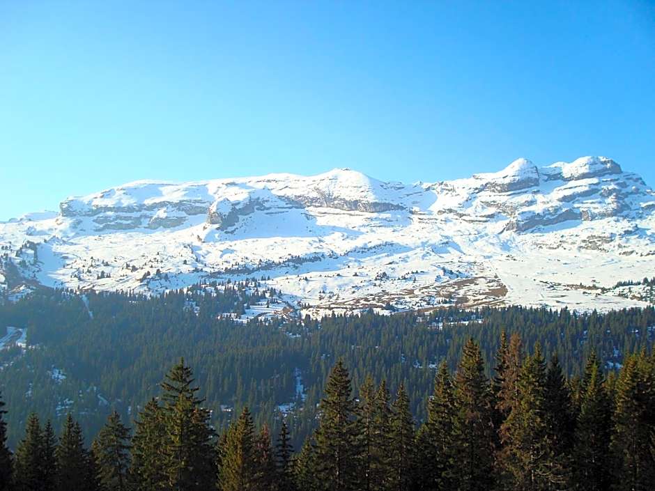 Flaine prime ski in, ski out Apartment