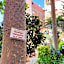 Amon Hotel