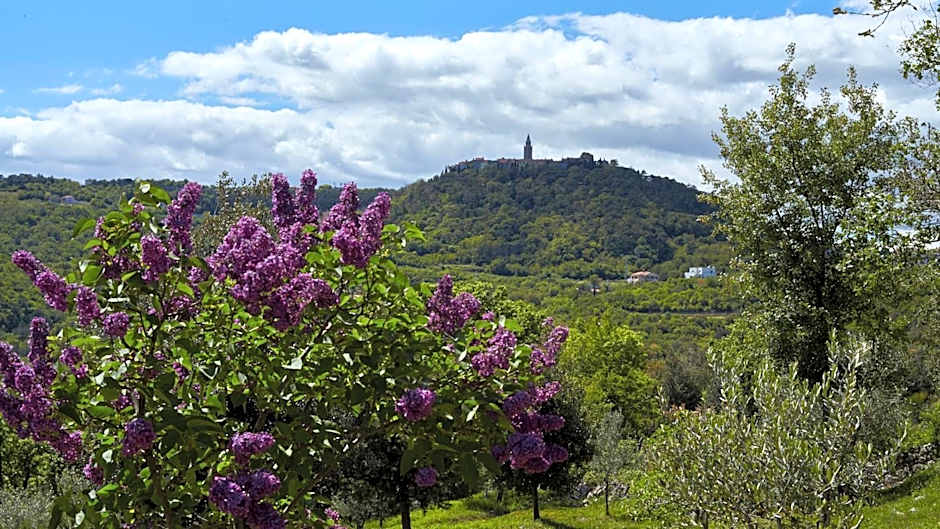 Apartments Villa Venera