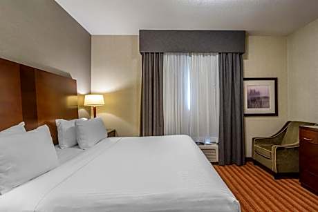 One-Bedroom King Suite - Non-Smoking