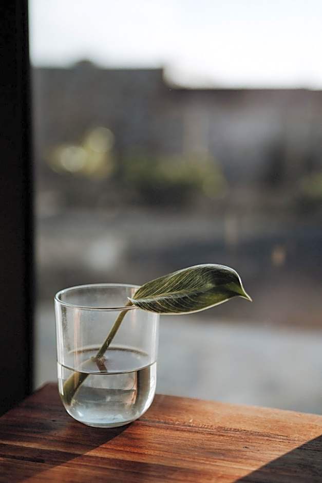 Surf & Yoga Retreats Fuerteventura