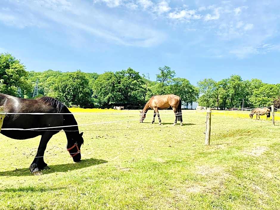 Sure Hotel by Best Western Port Jerome - Le Havre (ex Flormandie)