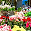 Hotel Royal Kitami - Vacation STAY 04905v