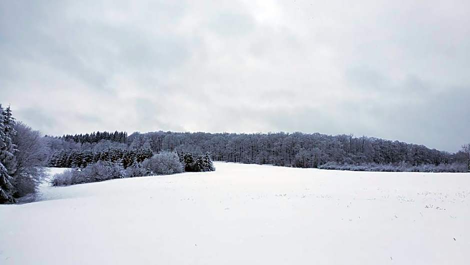 Landgasthof Steuber - Hotel garni