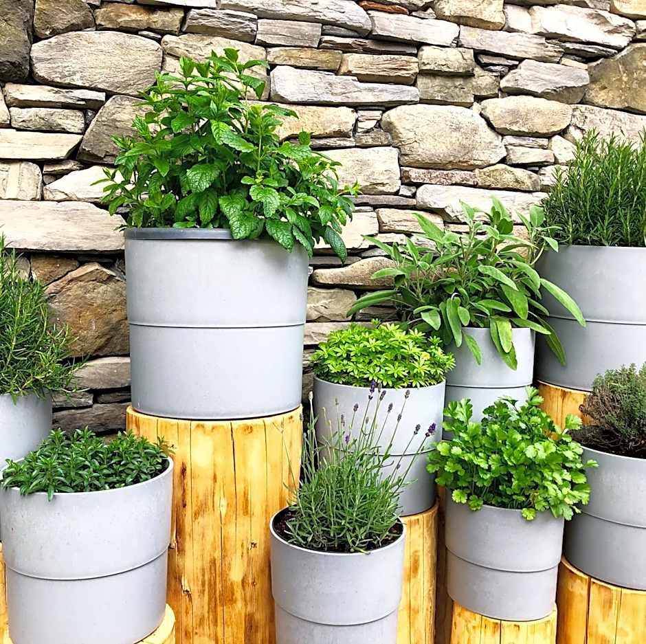 moser-HOCHKÖNIG Genuss Wirtshaus Hotel