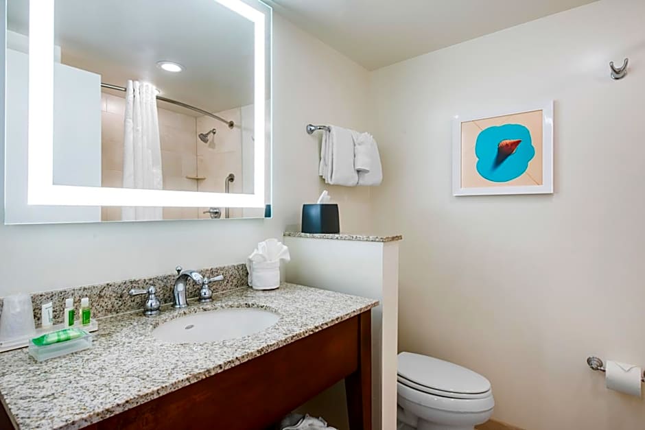 Holiday Inn Orlando Disney Spring Area By IHG