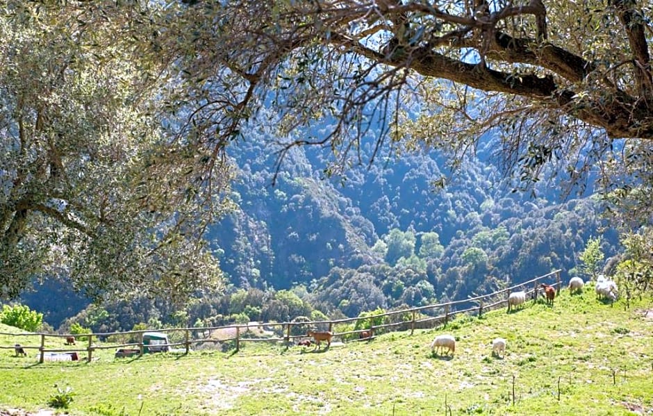 Magia dell'Aspromonte