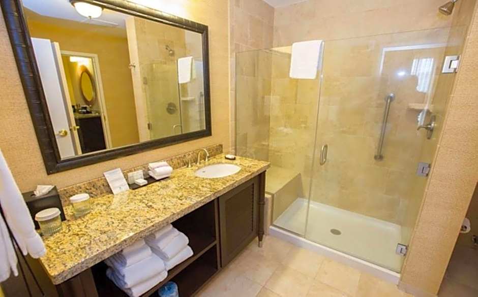 Embassy Suites By Hilton Savannah
