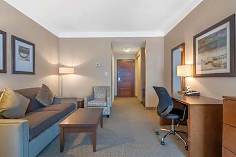 SUITE-1 KING BED,NSMK,PILLOW,FLATSC,SOFBD,MICRFG,FULL BREAKFAST