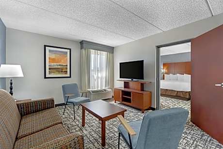 King Suite with Roll - In Shower - Mobility Access