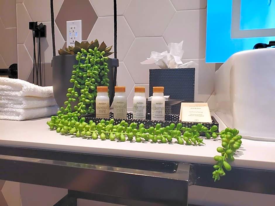 Hotel Indigo Miami Brickell By IHG