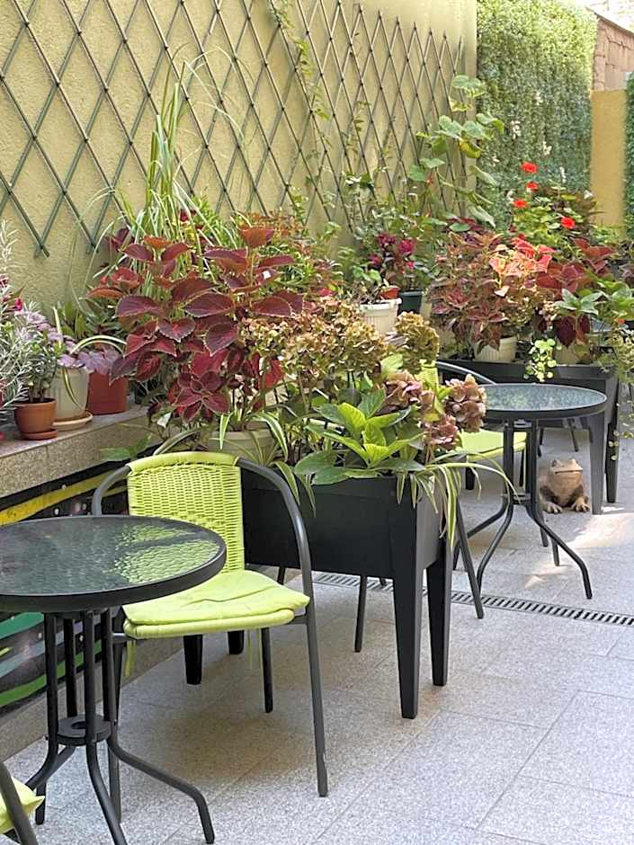 Art Green Boutique Hotel