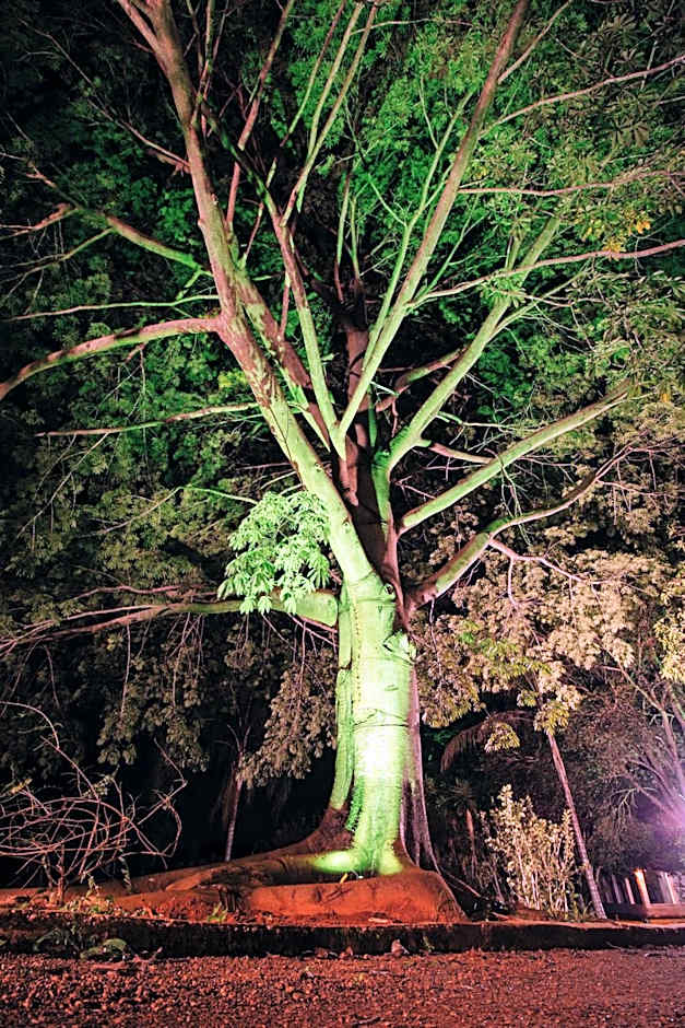 Hotel Vegano Bona Espero