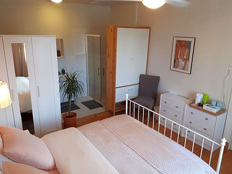 Mostarlic Vegan and Gluten free B&B