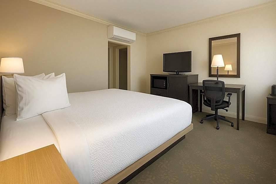 The Live Hotel