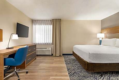 King Studio Suite