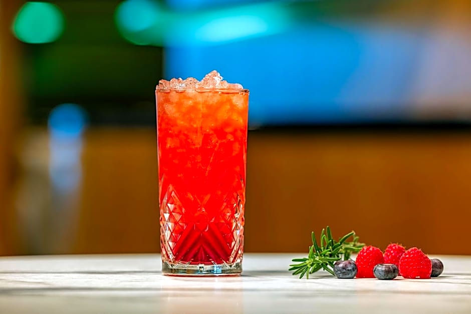 Sheraton Paris Charles de Gaulle Airport Hotel