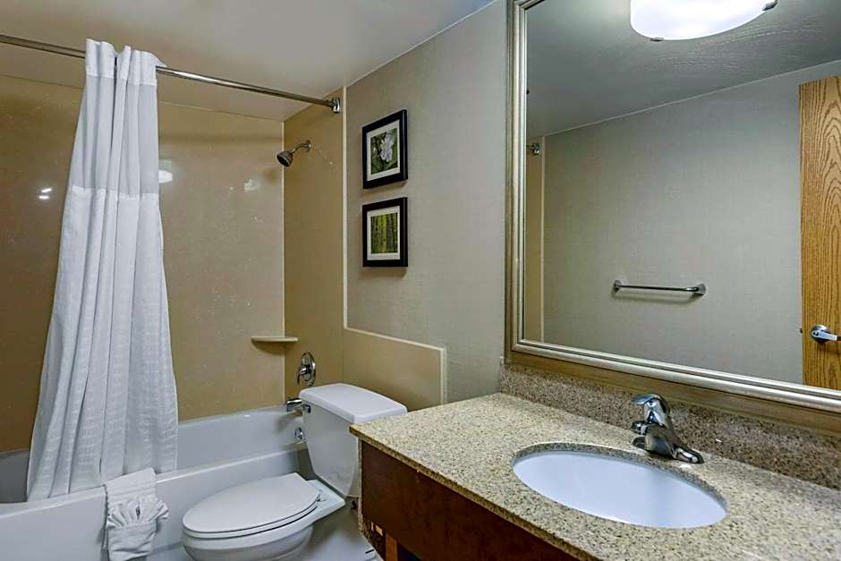 Comfort Inn Lansing West