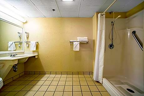 1 King Bed Nonsmoking Accessible