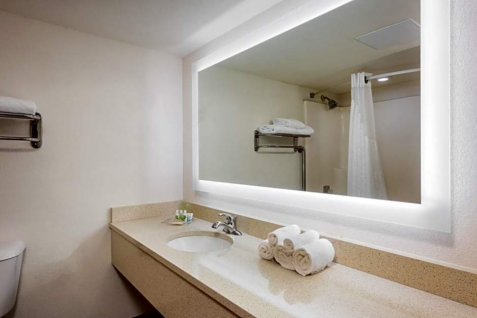 Holiday Inn At Six Flags Saint Louis By IHG