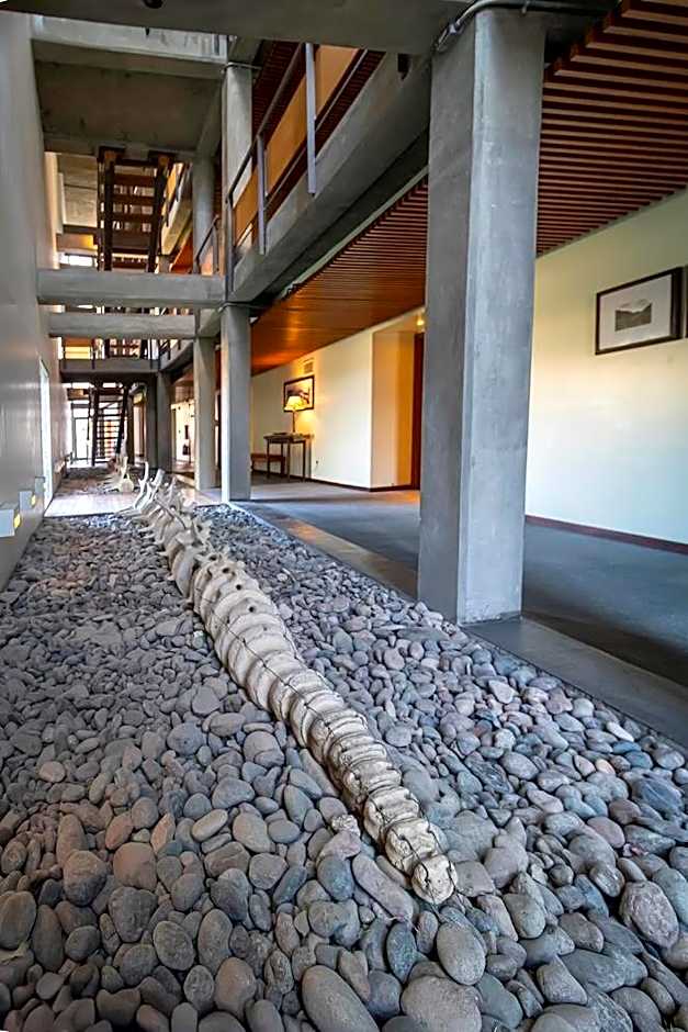 Hotel Territorio