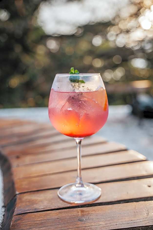 Socialtel Monteverde