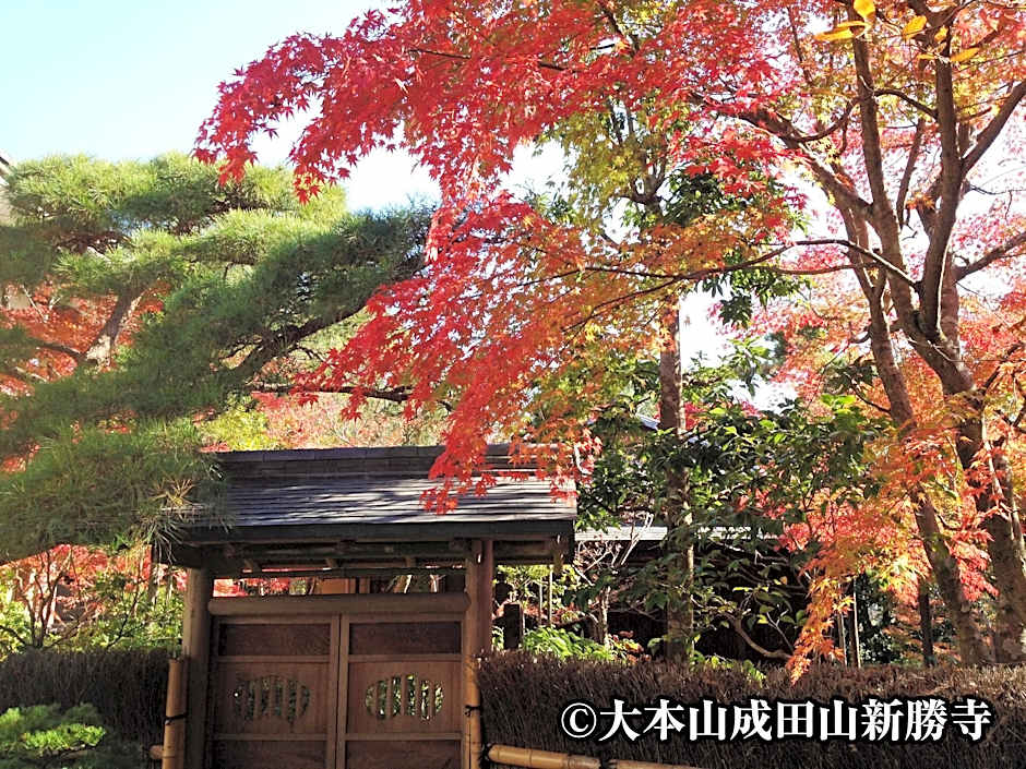 Hotel Welco Narita ( Formerly Mercure Hotel Narita )