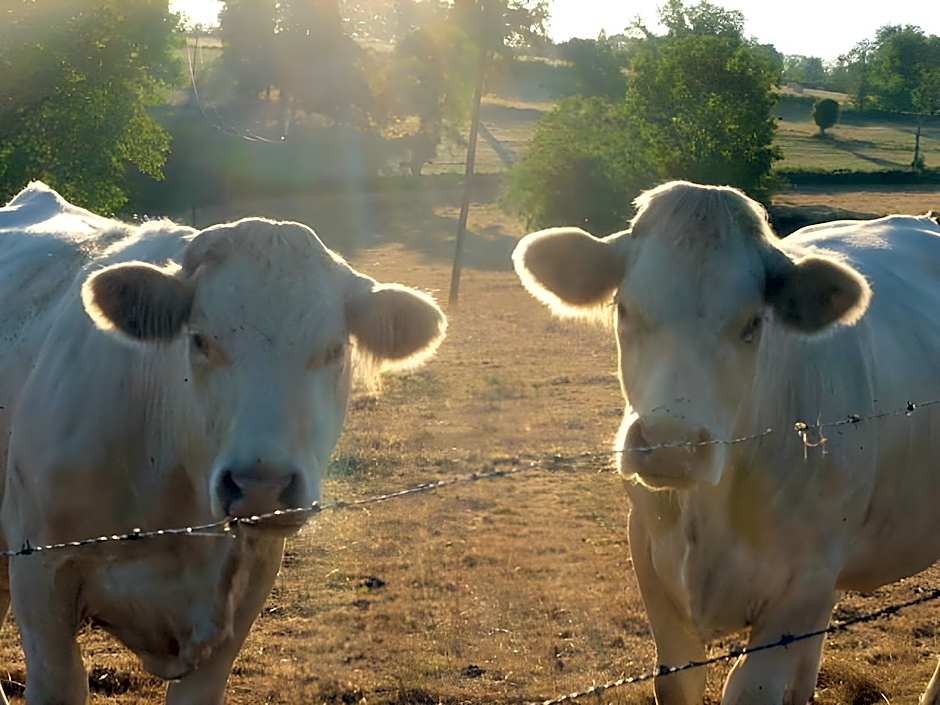 La Bergerie du bois joannin