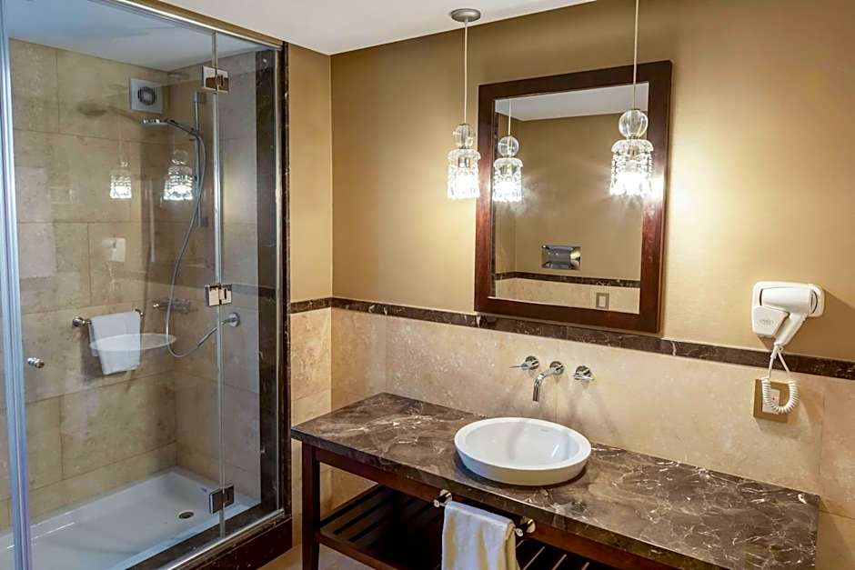 Esplendor by Wyndham Buenos Aires Tango