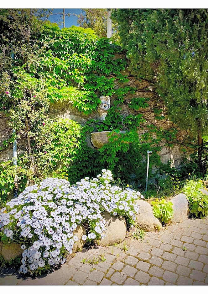 Villa Scilla e Cariddi