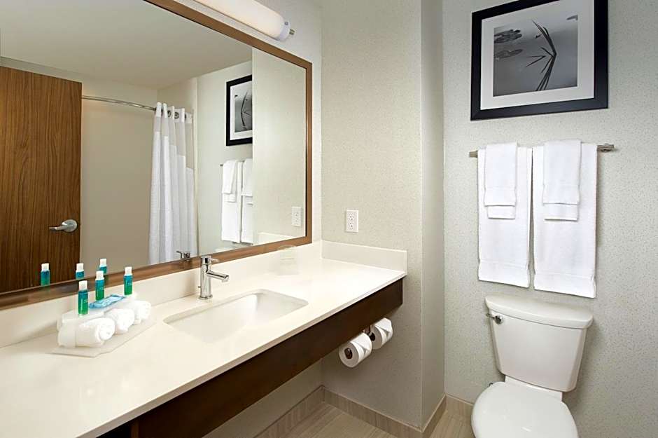 Holiday Inn Express & Suites Bay City By IHG