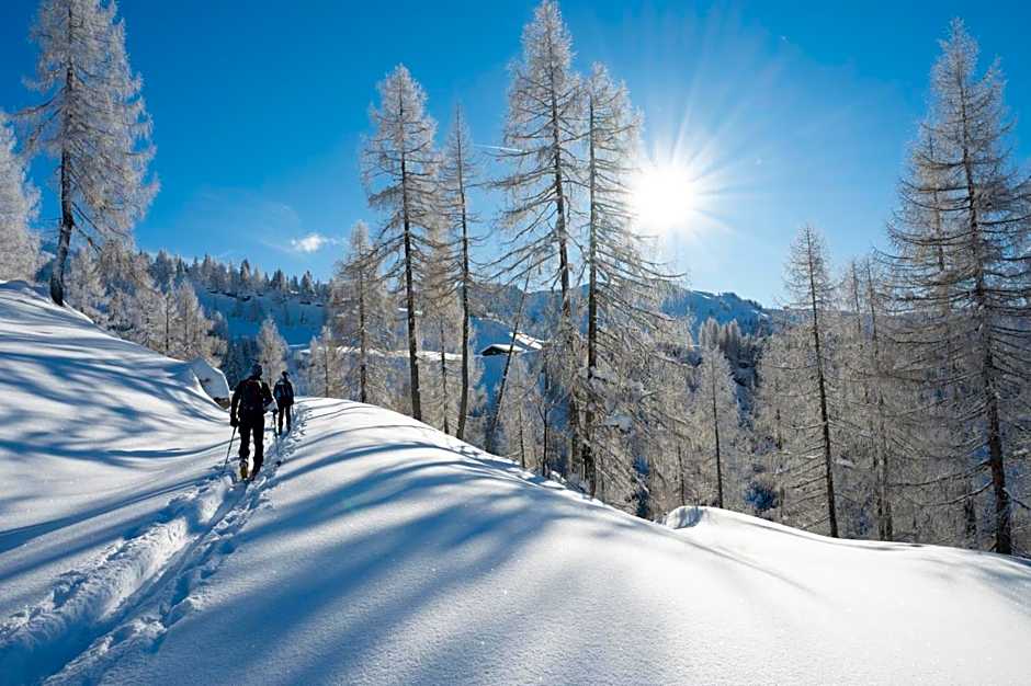 Hotel Gratz Großarl