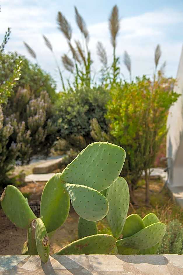 Vienoula's Garden Hotel