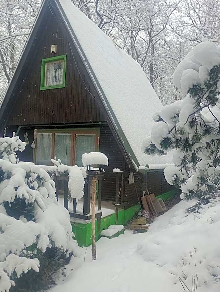 main