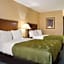 Quality Inn Grand Blanc - Flint South