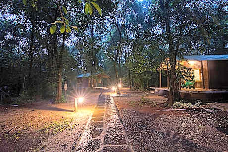 seethanadi Nature Camp-Jungle Lodges