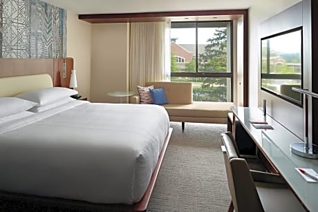 Guest room, 1 Queen