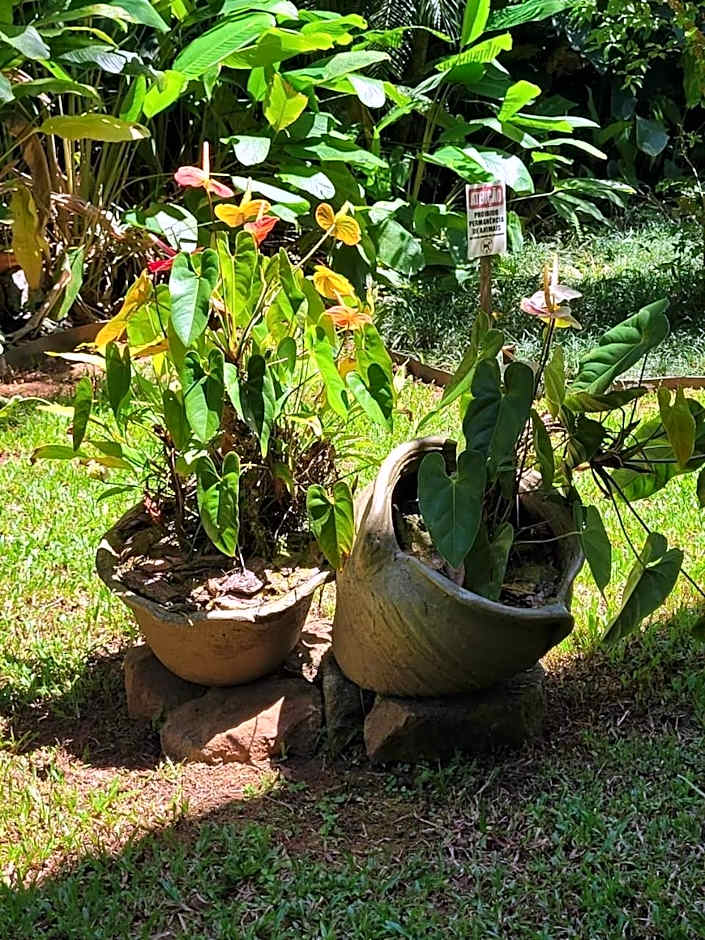 Flat Amarilis Apartamento 103