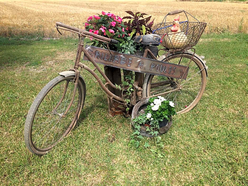 Le Grillage a Poules