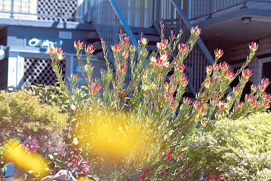 The Sands Holiday Apartments