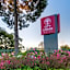 City Lodge Hotel Sandton, Morningside