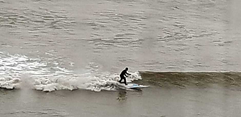 The Sup Shack Wellington Inn