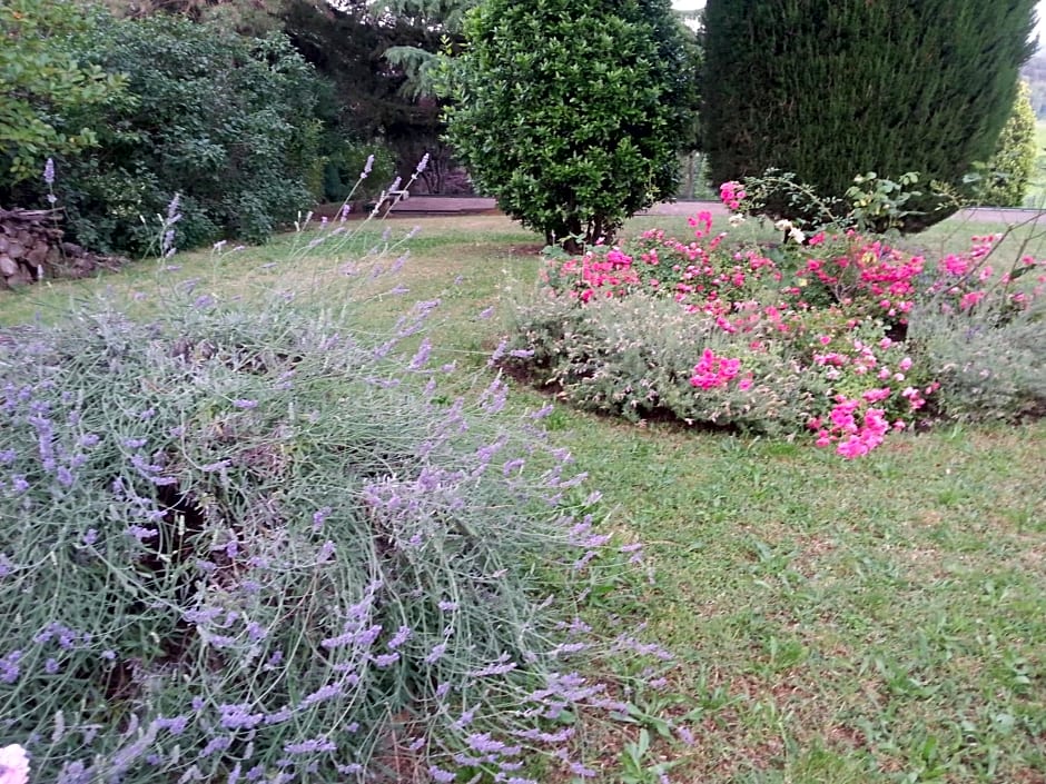 BASISA Bed&Breakfast