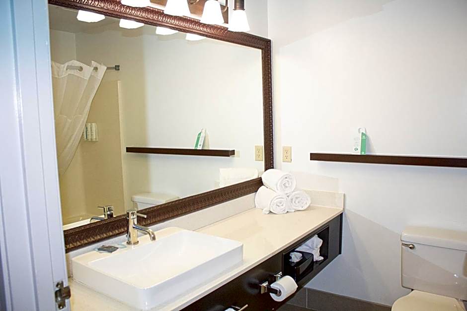 Country Inn & Suites by Radisson, Big Rapids, MI