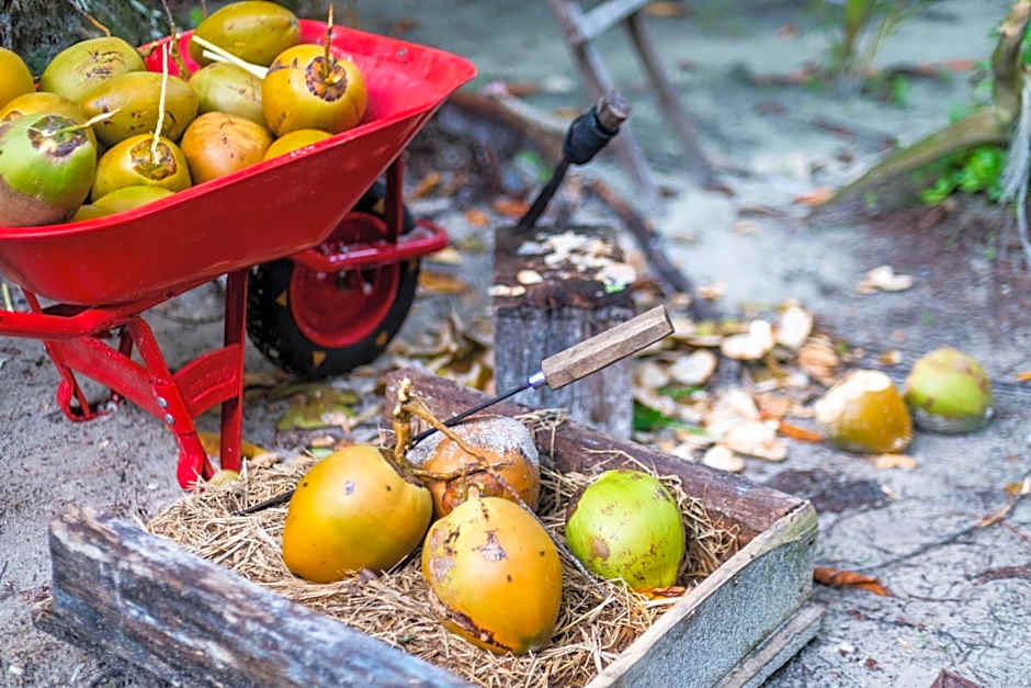 Tailana Island Pulau Banyak