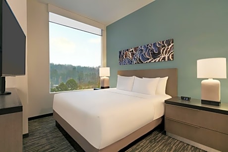 King Studio Suite with Kitchen and Sofa Bed